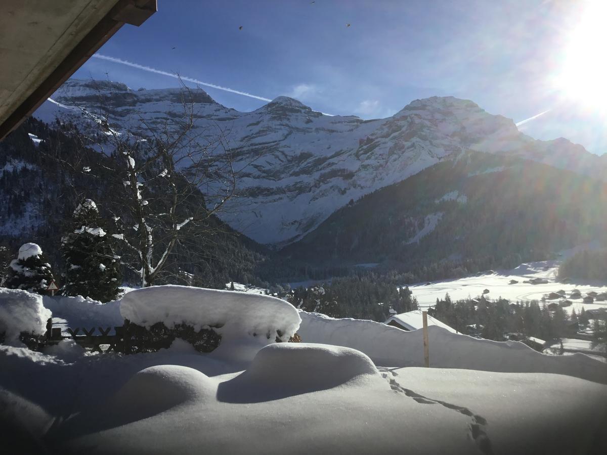 Le Sapin Διαμέρισμα Les Diablerets Εξωτερικό φωτογραφία