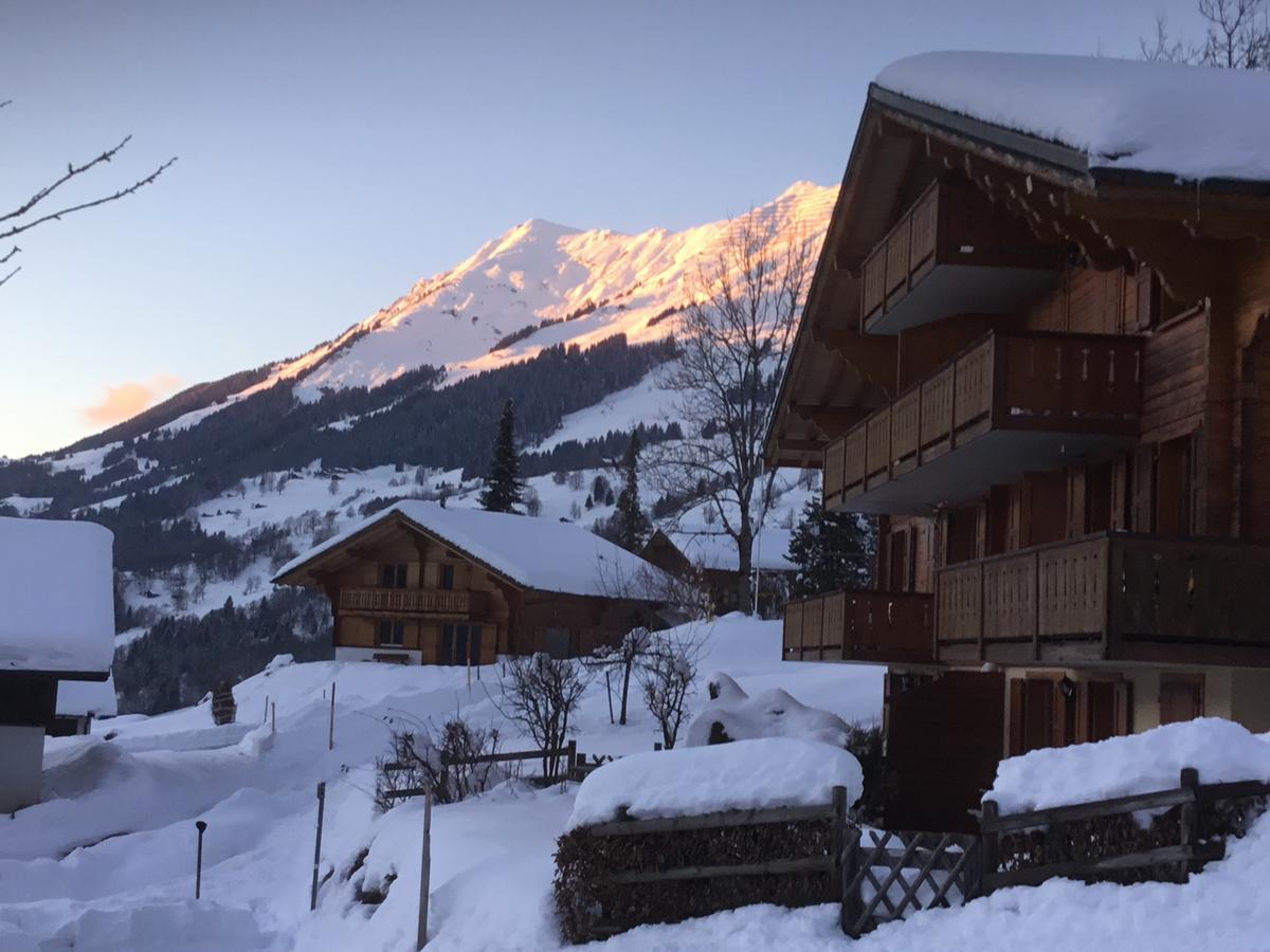 Le Sapin Διαμέρισμα Les Diablerets Εξωτερικό φωτογραφία